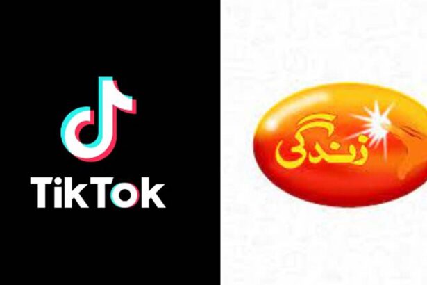 TikTok, Zindagi Trust launch digital safety workshops in government schools