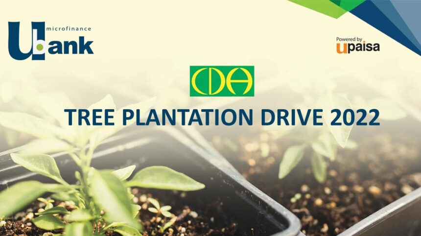 U Microfinance Bank planted 5,000 trees