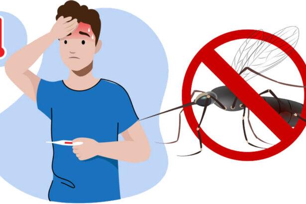 Here’s how to know you have Dengue!