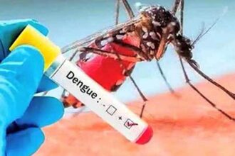 Islamabad Reports 67 People Got Dengue Fever in 24 Hours