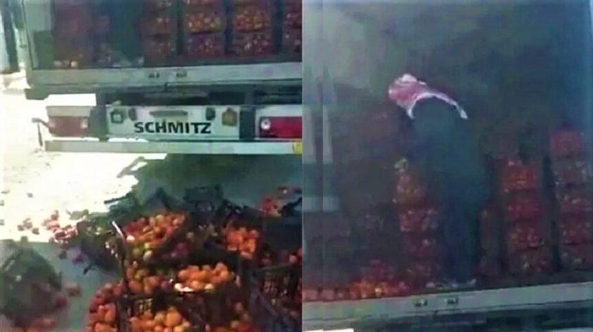Farmers destroy Iran-imported tomatoes