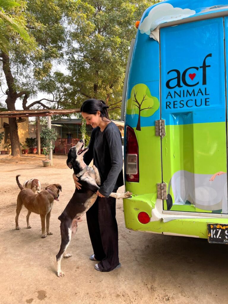 Ayesha Chundrigar-founder of ACF Animal Rescue