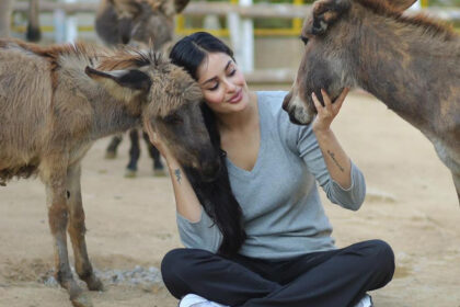 Ayesha Chundrigar Stands Up Against Defamation of ACF Animal Rescue