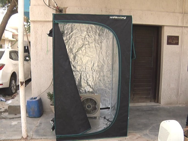 Karachi's Surprising Marijuana Grow-Op