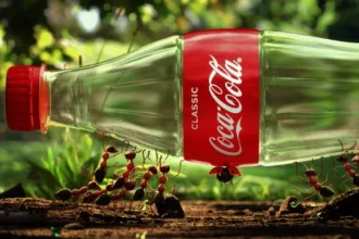 Coca-Cola Pakistan Wins Award for Sustainable Practices
