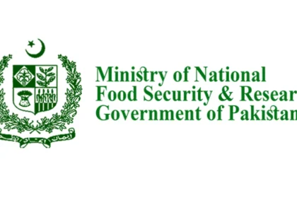 Controversial Transfers and Allegations of Corruption Shake newly Established NAFSA