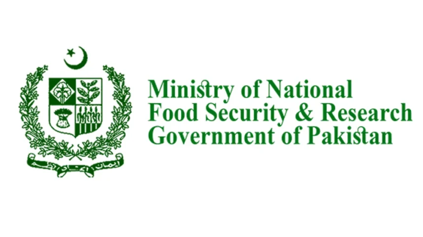 Controversial Transfers and Allegations of Corruption Shake newly Established NAFSA