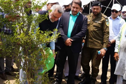 Zindigi and LDA Join Forces for Massive Tree Plantation Drive in Lahore
