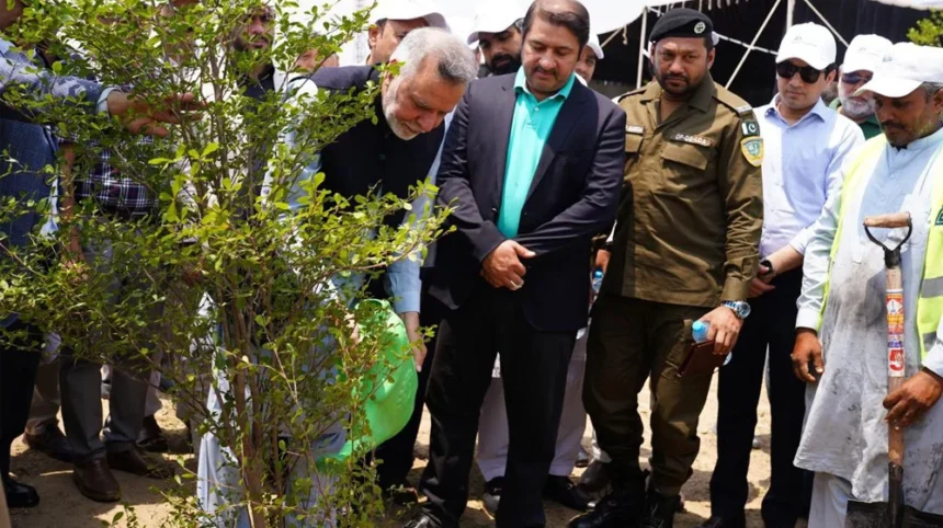 Zindigi and LDA Join Forces for Massive Tree Plantation Drive in Lahore