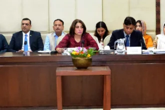 Pakistan Moves to Regulate AI as Senate Committee Reviews Major Tech Advancements