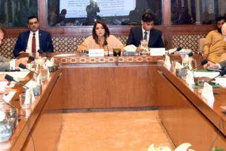 Senate IT Committee Questions Jazz Tariff Hike and Telecom Services