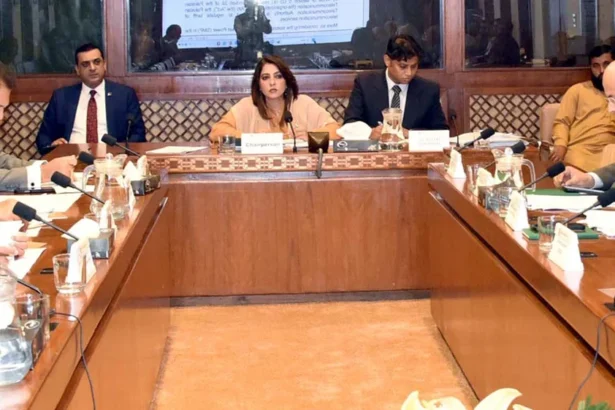 Senate IT Committee Questions Jazz Tariff Hike and Telecom Services