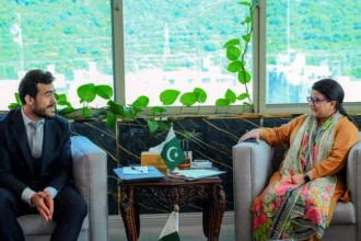 Yango Tech Explores AI Partnerships with Pakistan’s IT Ministry