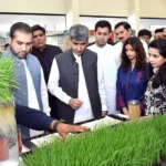 Syngenta Pakistan Revives Hope for Flood-Affected Farmers in Punjab