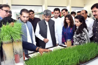 Syngenta Pakistan Revives Hope for Flood-Affected Farmers in Punjab