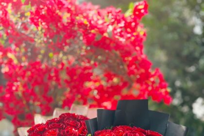 From Passion to Profession – The Story of AH.Krafts