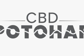 CBD Potohar Shaping the Future of Urban Development