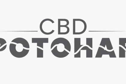CBD Potohar Shaping the Future of Urban Development