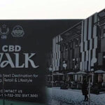 CBD Punjab Accelerates CBD Walk, Nears Phase Two