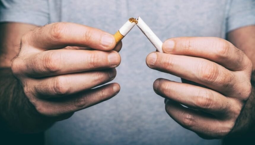 Experts Call for Regulated Tobacco Harm Reduction Framework in Pakistan